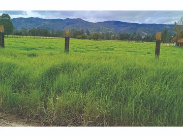 Finca en Venta Tocancipa para Floricultura, Agrícultura y Ganadería.