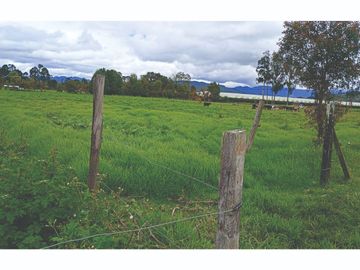 Finca en Venta Tocancipa para Floricultura, Agrícultura y Ganadería.