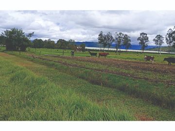 Finca en Venta Tocancipa para Floricultura, Agrícultura y Ganadería.