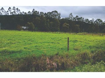 Finca en Venta Tocancipa para Floricultura, Agrícultura y Ganadería.