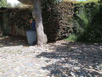 Casa de venta en Urb. Auqui Chico, Cumbayá