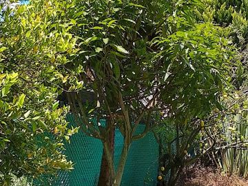 Casa de venta en Urb. Auqui Chico, Cumbayá