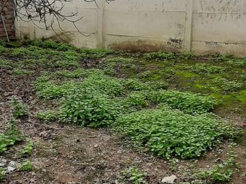 Excelente Terreno con Casa en Cerro Navia