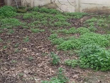 Excelente Terreno con Casa en Cerro Navia