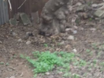 Excelente Terreno con Casa en Cerro Navia