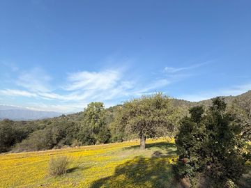 Naturaleza Y Plusvalía En Un Solo Lugar: Parcelas En Aculeo!