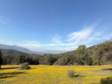 Naturaleza Y Plusvalía En Un Solo Lugar: Parcelas En Aculeo!