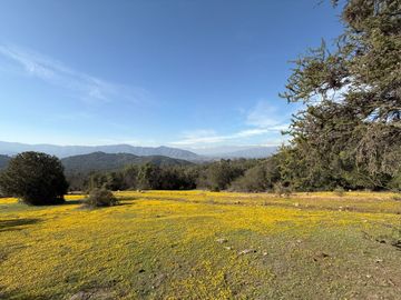 Naturaleza Y Plusvalía En Un Solo Lugar: Parcelas En Aculeo!