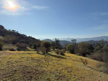 Naturaleza Y Plusvalía En Un Solo Lugar: Parcelas En Aculeo!