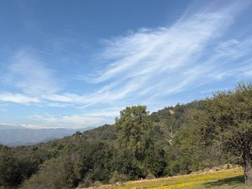 Naturaleza Y Plusvalía En Un Solo Lugar: Parcelas En Aculeo!