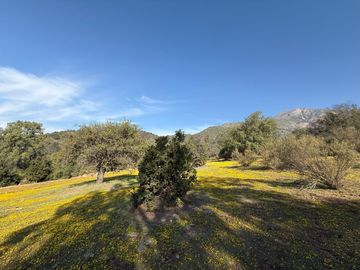 Naturaleza Y Plusvalía En Un Solo Lugar: Parcelas En Aculeo!