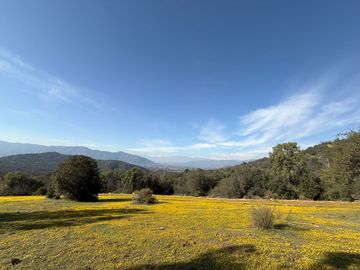 Naturaleza Y Plusvalía En Un Solo Lugar: Parcelas En Aculeo!