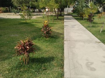 VENDO TERRENO FRENTE A PARQUE EN SANTA MARIA DEL PINAR, PIURA