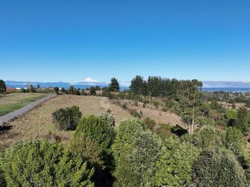 CAMPO 16.41 HA PUYEHUE / 20 KM ENTRE LAGOS