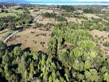 CAMPO 16.41 HA PUYEHUE / 20 KM ENTRE LAGOS