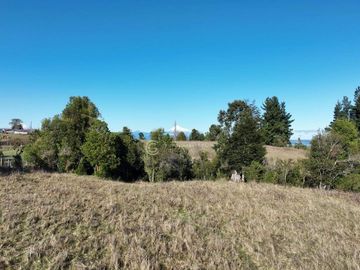 CAMPO 16.41 HA PUYEHUE / 20 KM ENTRE LAGOS