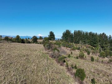 CAMPO 16.41 HA PUYEHUE / 20 KM ENTRE LAGOS