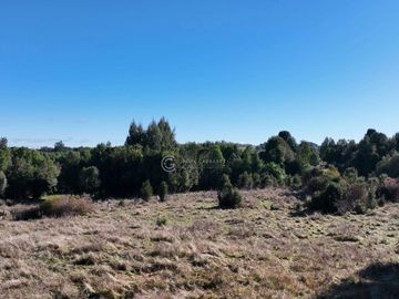 CAMPO 16.41 HA PUYEHUE / 20 KM ENTRE LAGOS