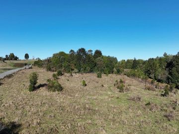 CAMPO 16.41 HA PUYEHUE / 20 KM ENTRE LAGOS