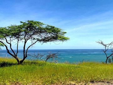TERRENO CON DOMO NATURAL EN MANCORA