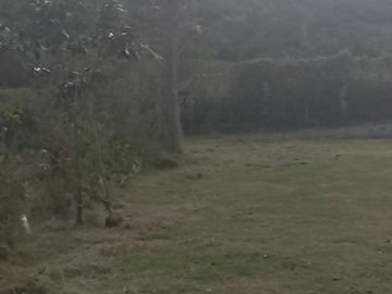 Terreno en venta en Nayon