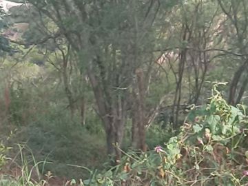 Terreno en venta en Nayon