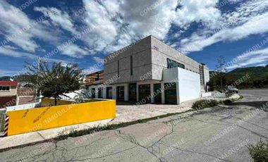 PLAZA ANGEL 61