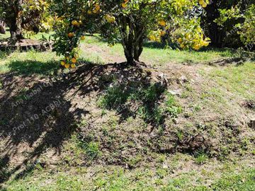 Hermosa casa colonial de hacienda de venta con 1 hectárea y 6000 mt2 de terreno