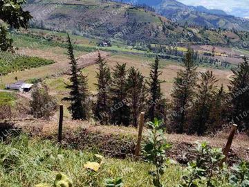 Hermosa casa colonial de hacienda de venta con 1 hectárea y 6000 mt2 de terreno