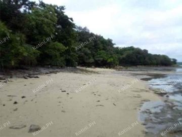 Beach Lot For Sale in Quezon Province