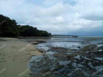 Beach Lot For Sale in Quezon Province