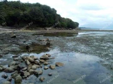Beach Lot For Sale in Quezon Province