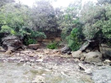 Beach Lot For Sale in Quezon Province