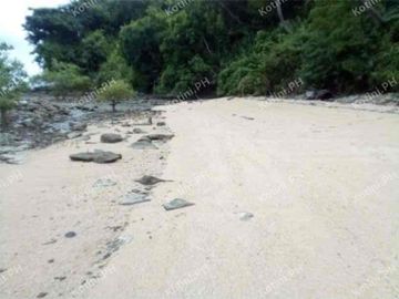 Beach Lot For Sale in Quezon Province