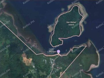 Beach Lot For Sale in Quezon Province