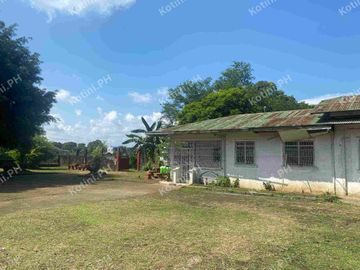 Farm Lot for Sale with Fruit-Bearing Trees