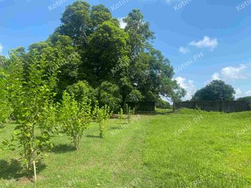Farm Lot for Sale with Fruit-Bearing Trees