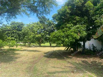 Farm Lot for Sale with Fruit-Bearing Trees