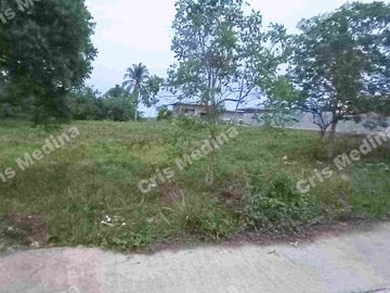 Farm/Residential Lot for Sale in Barangay Minantok Silangan Amadeo Cavite