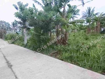 Farm/Residential Lot for Sale in Barangay Minantok Silangan Amadeo Cavite