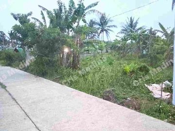 Farm/Residential Lot for Sale in Barangay Minantok Silangan Amadeo Cavite