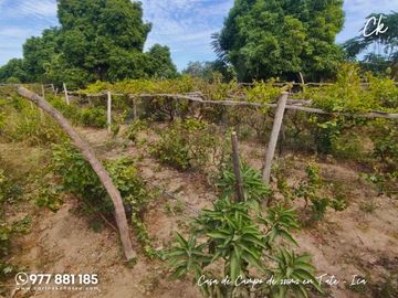 ¡Casa de campo en Ica lista para terminar a tu gusto! 🌴 Amplia, bien ubicada y con todos los servicios