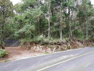LOTE CAMPESTRE