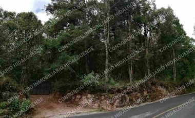 LOTE CAMPESTRE