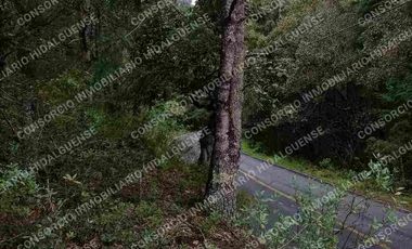 LOTE CAMPESTRE
