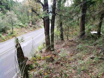 LOTE CAMPESTRE