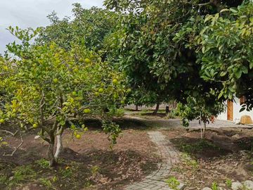 Quinta de venta en Guayllabamba