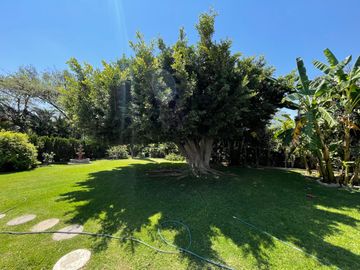 CASA DE UN SOLO NIVEL EN FRACCIONAMIENTO EL PARAJE, JIUTEPEC MORELOS.
