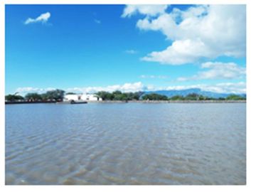 VENTA RANCHO TECOZAUTLA, HIDALGO