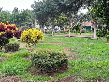 🔹 ¡Oportunidad Única! Edificio Frente a Parque – 4 Dptos + Azotea con Tendal